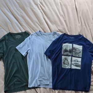 Set of Three Casual T-Shirts Mens Banana Republic Size L Tall